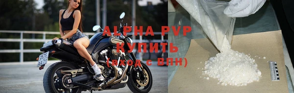 амф Белокуриха