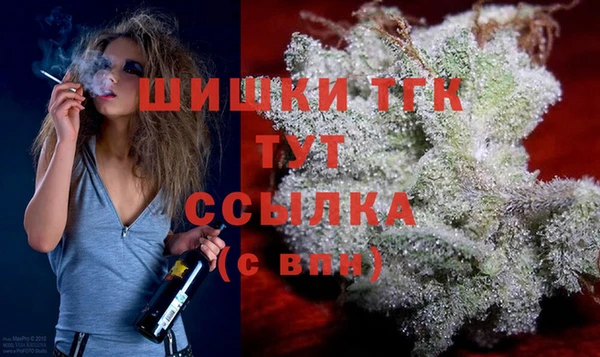амф Белокуриха