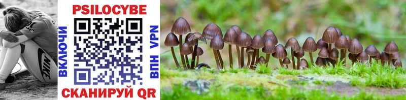 Псилоцибиновые грибы Cubensis  Купить закладки  Мураши 