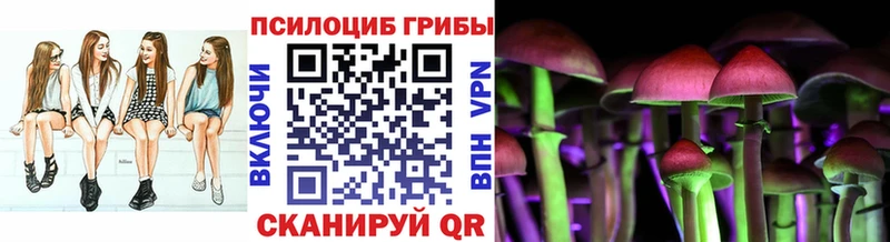Псилоцибиновые грибы Psilocybine cubensis Мураши